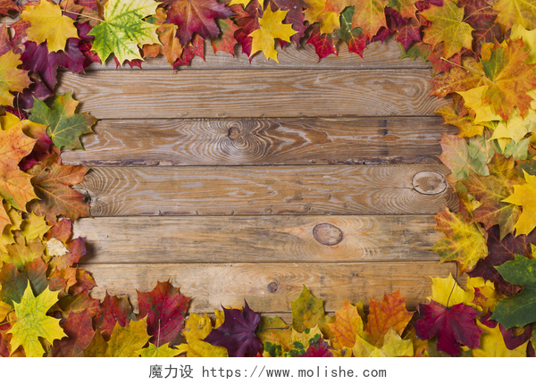 木板上的秋天落叶秋天的叶子